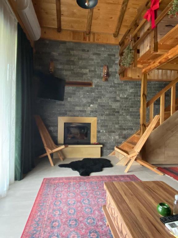 Tiny Room, Doğa Manzarası (Şömine Ve Balkon)