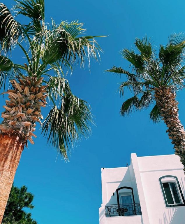 hotel-image