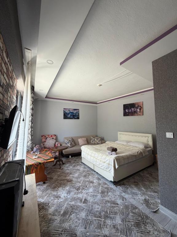 Standart Oda,Dağ Manzaralı,Balkonlu