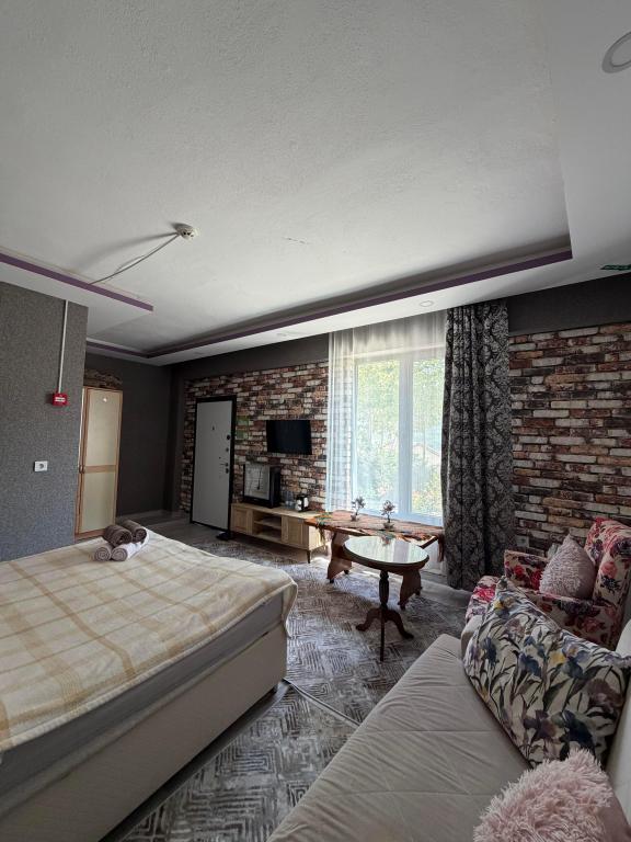 Standart Oda,Dağ Manzaralı,Balkonlu
