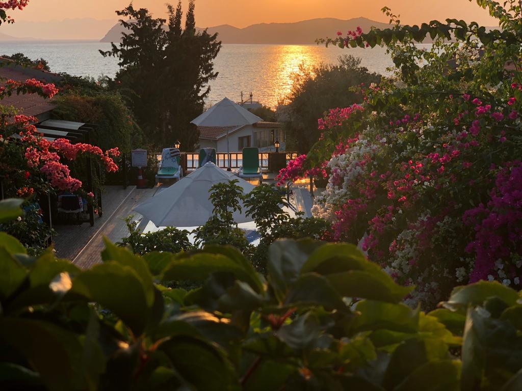 hotel-image