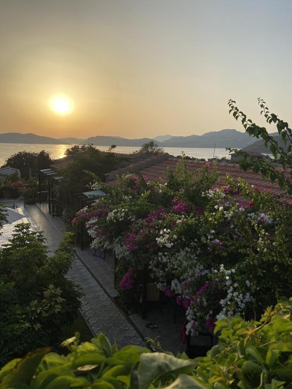 hotel-image