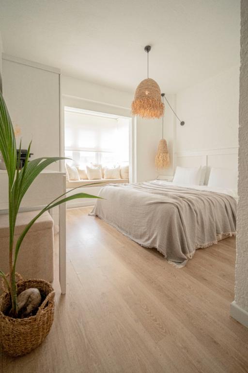 Standart Oda (Balkonsuz)