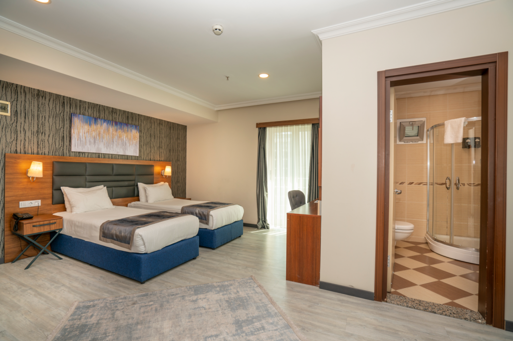 Deluxe Oda, Şehir Manzaralı