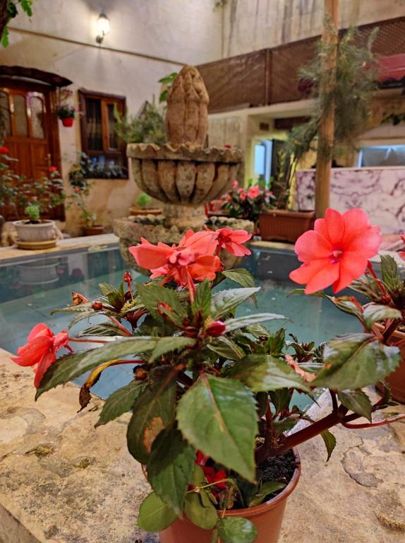 hotel-image