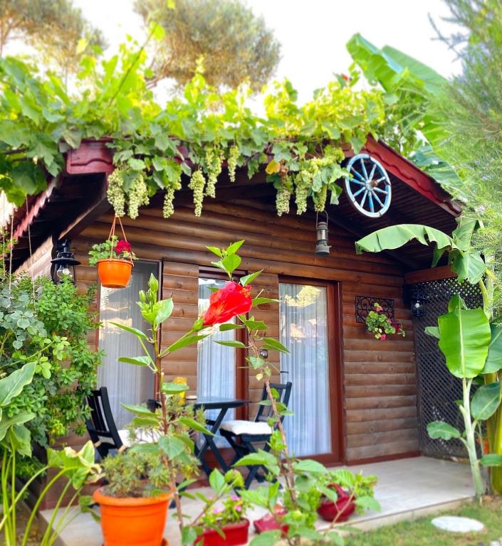 Bungalow, Garden View