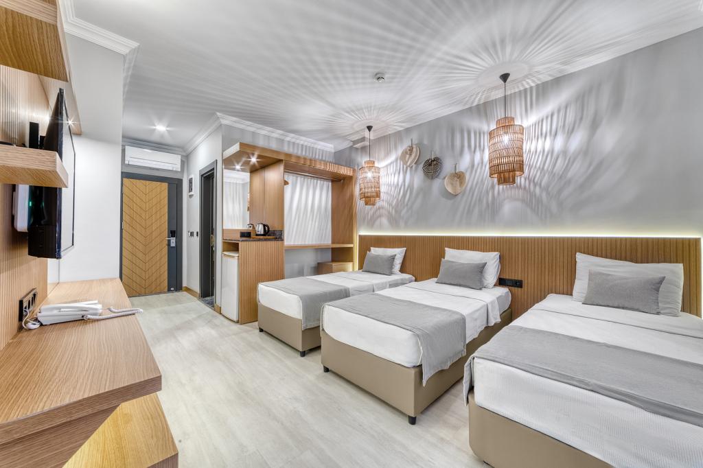 Standart Oda, Dağ Manzaralı (3 Kişilik)