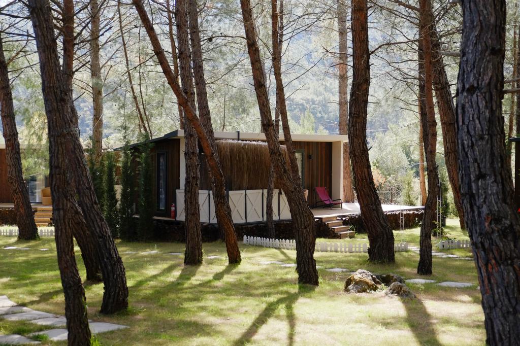 Bungalow With Jakuzzi, Pool Or Garden View