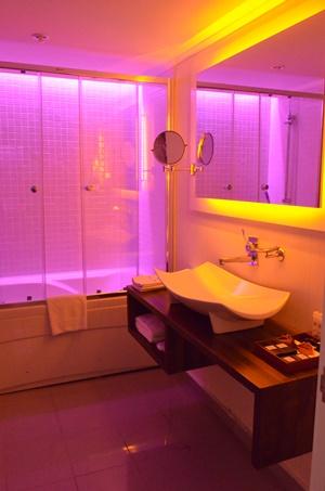 Aile Superior Odası, Şehir Manzaralı