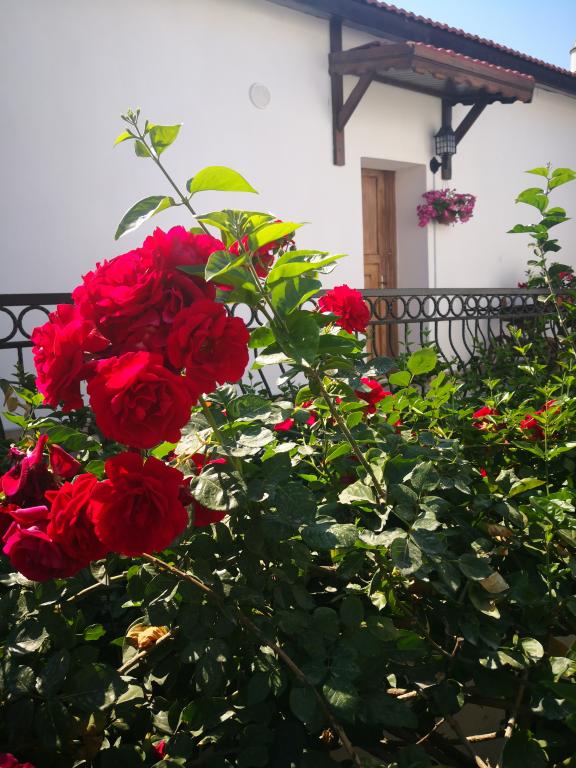 hotel-image
