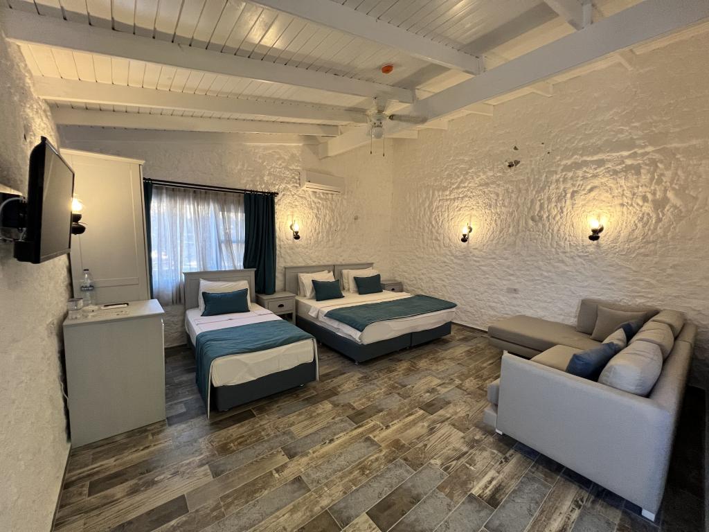 Standart Oda,Dağ Manzaralı
