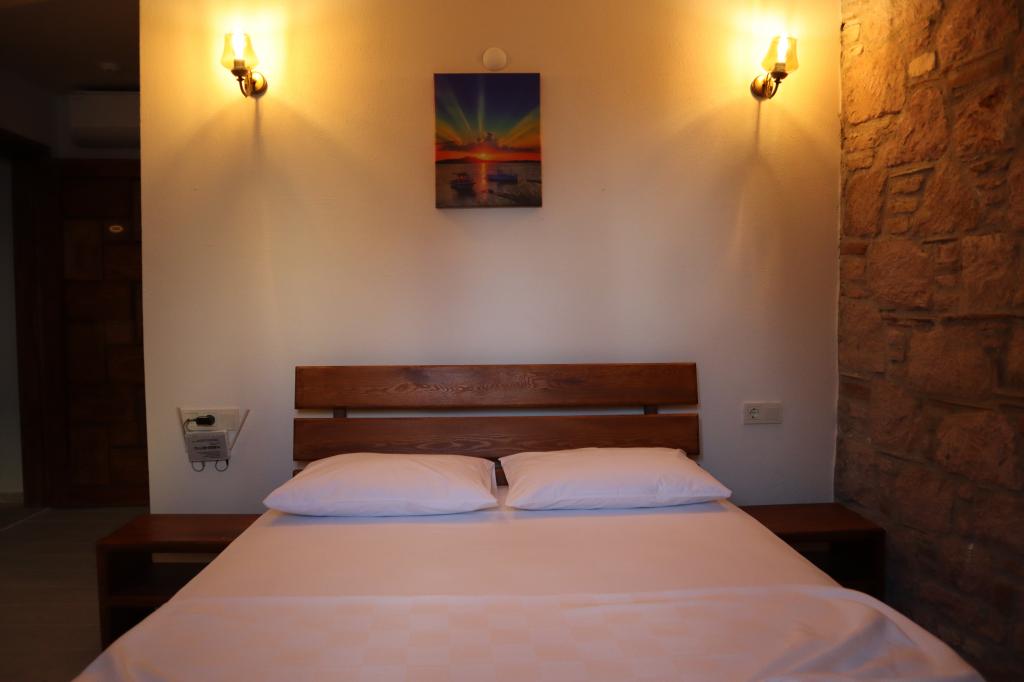 Standart Oda,doğa Manzaralı