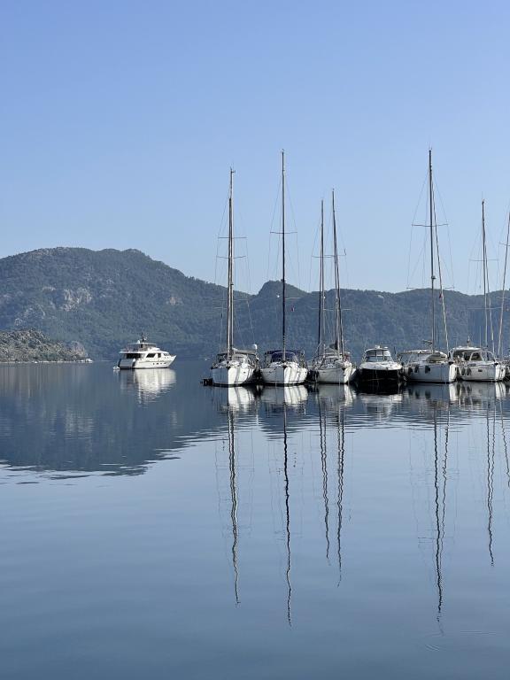 otelpuan
