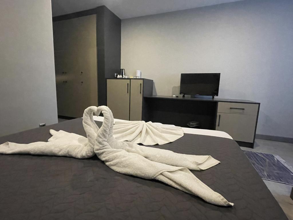 Deluxe Studio Oda, Göl Manzaralı