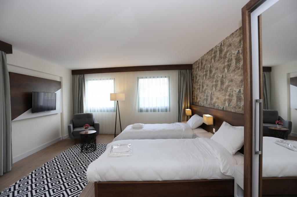 Deluxe Twin Room, City View (Without Balcony)
