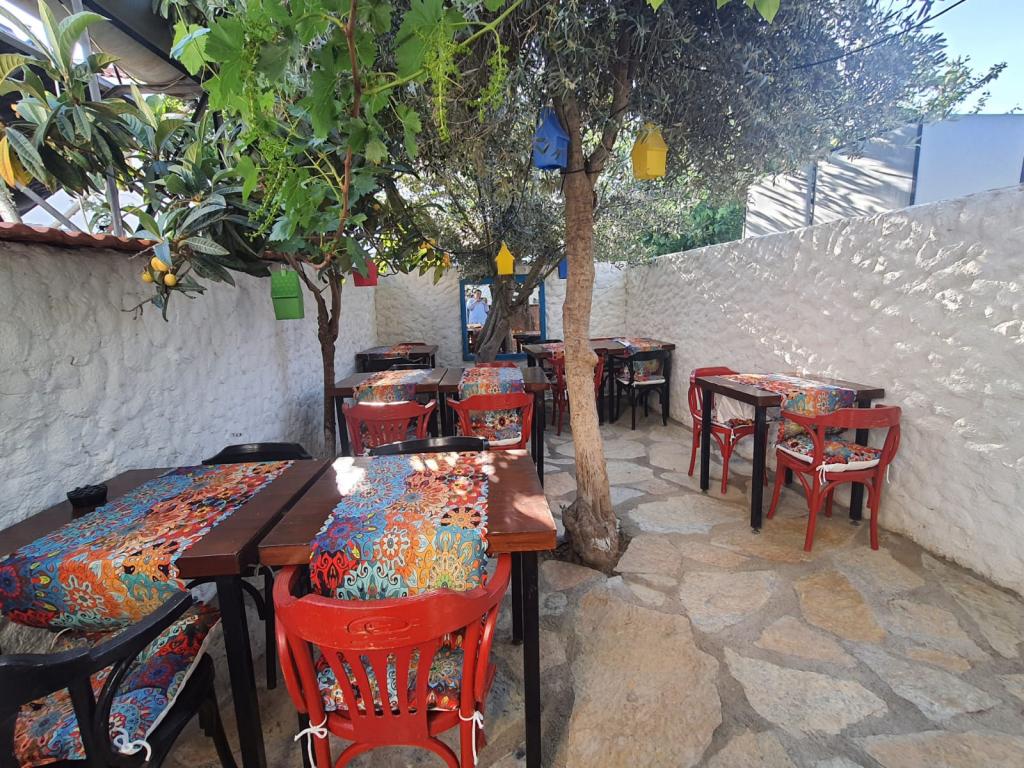 Kakule Pansiyon’un arka bahçesi, doğayla iç içe, sakinlik arayanlar için mükemmel bir sığınak. Göz alıcı çiçekler, yeşil yapraklar ve huzurlu bir atmosferle çevrili bu alan, misafirlerimize dingin bir kaçış sunuyor. Bahçede yer alan masalarda çayınızı yudumlayabilir, taze havada rahatça dinlenebilirsiniz. Sığacık’ın sakin ruhu burada daha da belirginleşiyor. 🌿🌸🍃