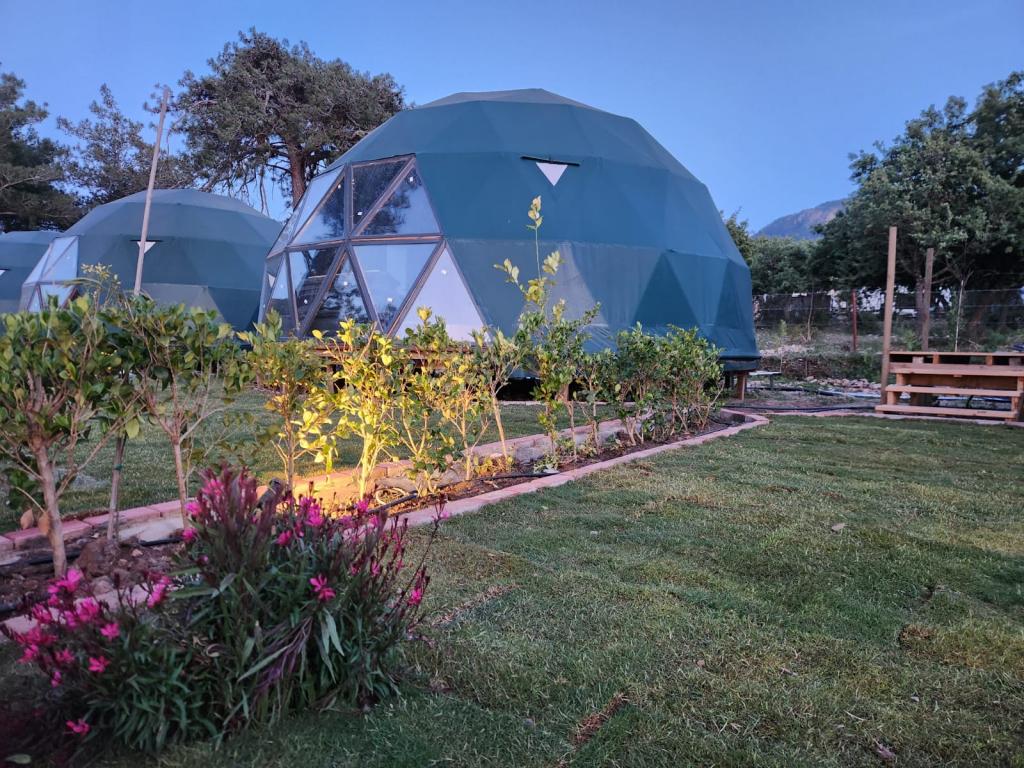 Lusso Glamping
