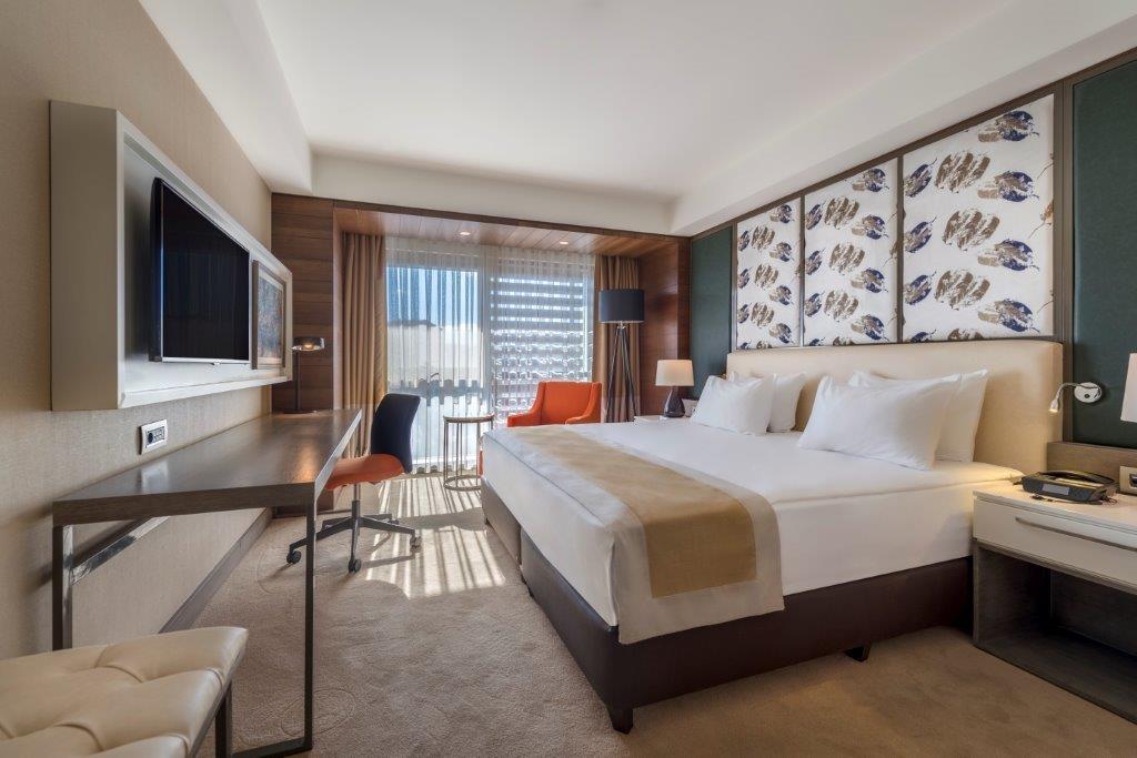 Executive Oda, Şehir Manzaralı (Balkonsuz)