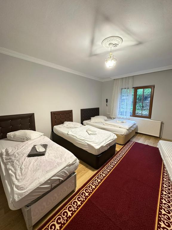 Standard Room, Mountain View (Without Balcony)