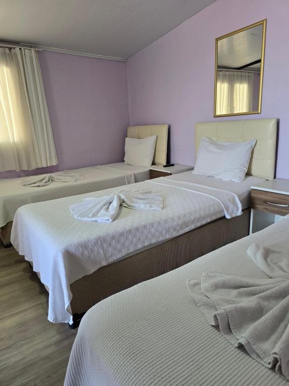 Standart Oda,Bahçe veya Sokak Manzaralı,2. Kat