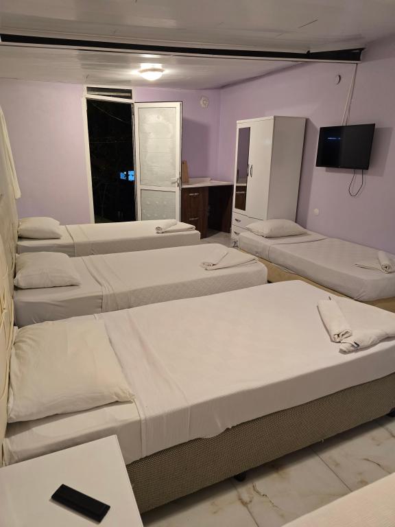 Aile Odası,Bahçe veya Sokak Manzaralı,Balkonlu