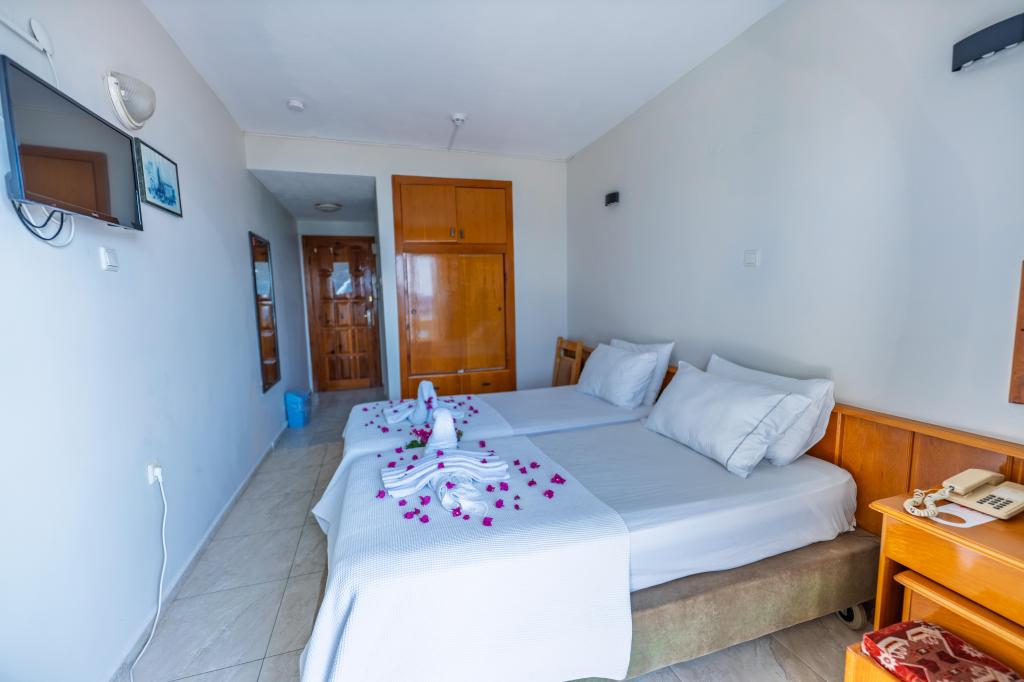 Standart Oda, Dağ Manzaralı (Balkonlu)