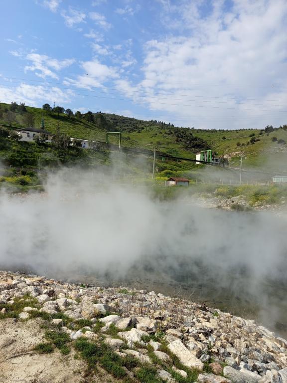 Diğer