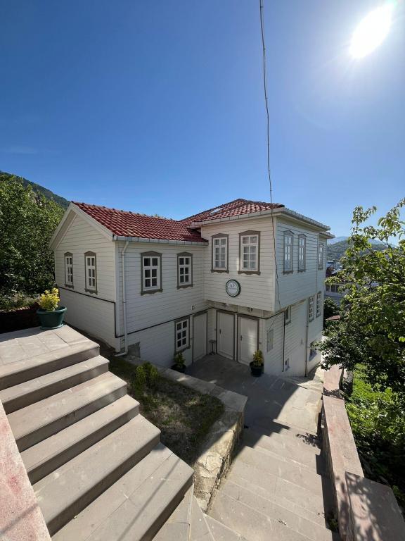 Genel Görünüm