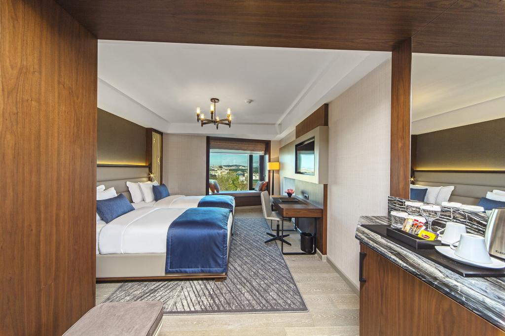 Standart Oda, Şehir Manzaralı