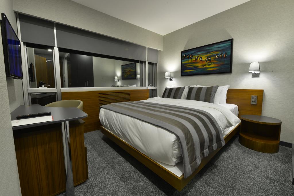 Standart Oda, Şehir Manzaralı