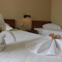 Standart Oda, Şehir Manzaralı