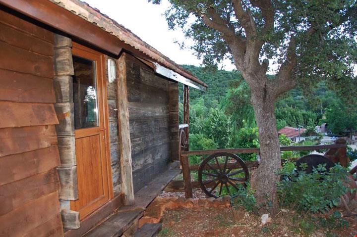 Bungalow, Courtyard View
