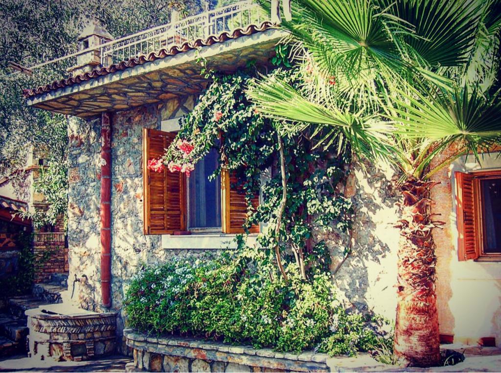Standart Oda, Deniz Manzaralı