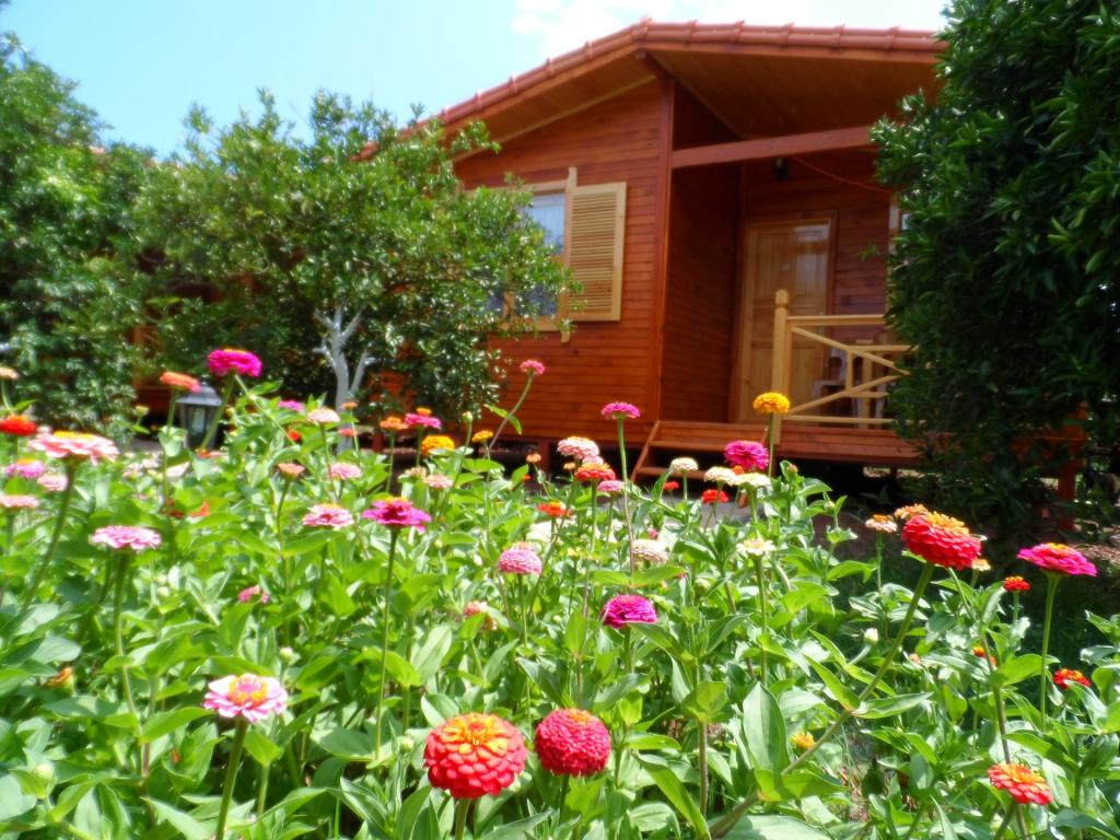 Aile Odası, Bahçe Manzaralı