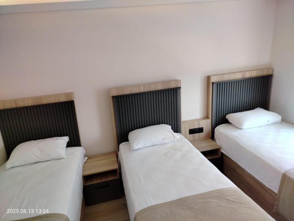 Standart Oda, Dağ Manzaralı (3 Kişilik, Balkonsuz)