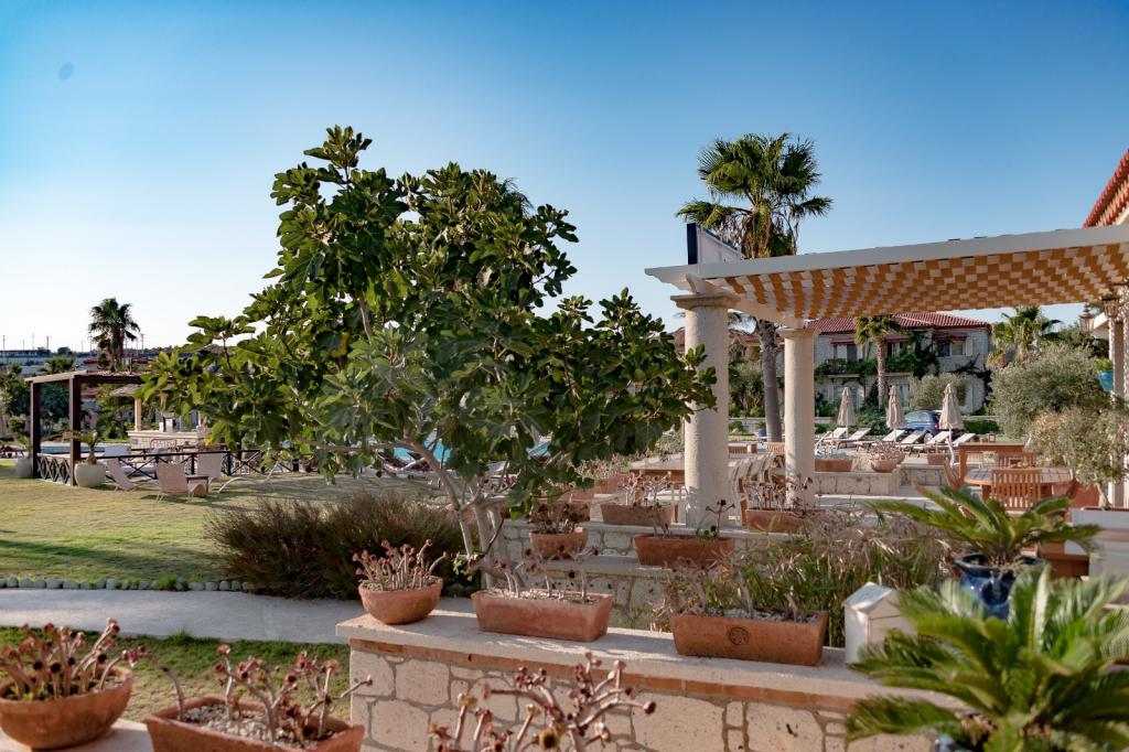 hotel-image-1