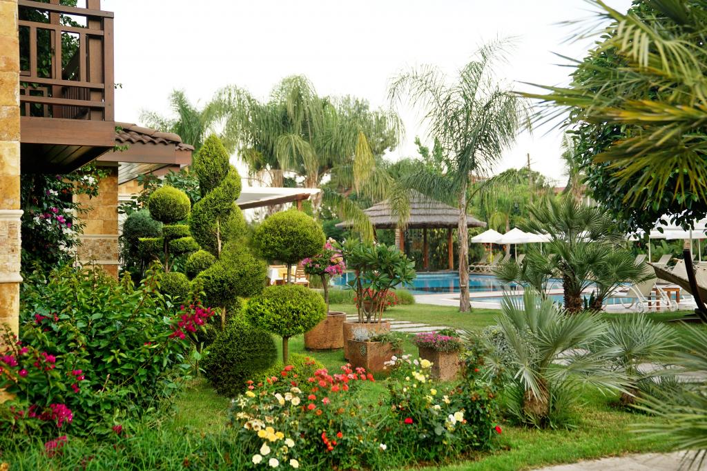Otel Resmi