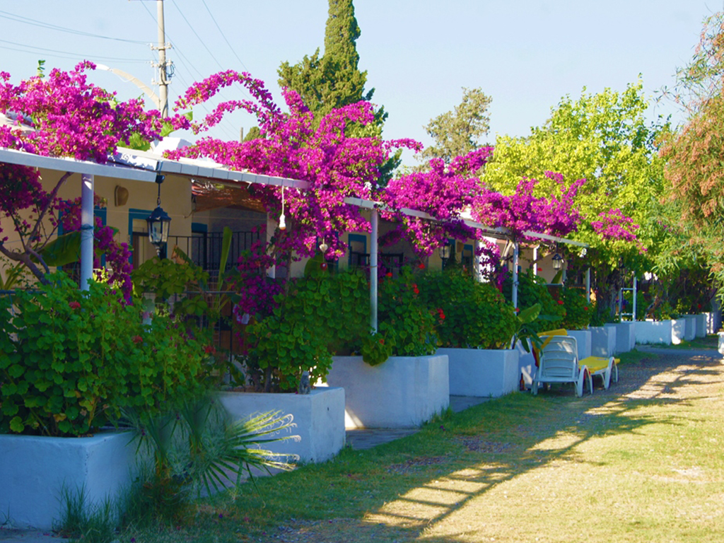 Poyraz Apart Motel Bitez