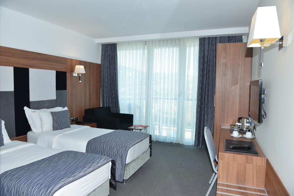 Standart Oda, Dağ Manzaralı