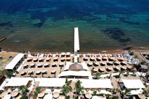 Cunda Say Resort