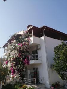 Elfida Apart