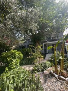 Karia Konuk Evi