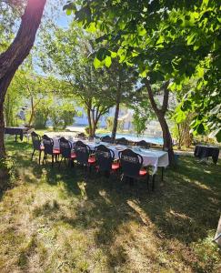 Monteri Termal Palace & SPA