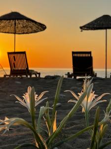 Myland Nature Otel
