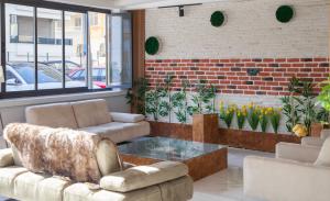 Mimoza Business Plus