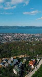 Rüya Sapanca Bungalov