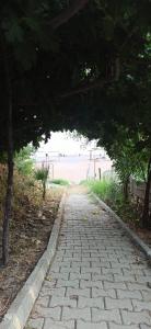 Sercan Apart