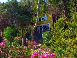 Sole Foça