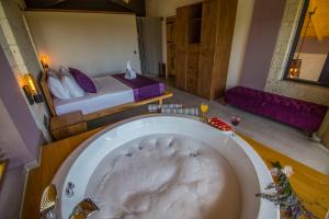 Volans Suites
