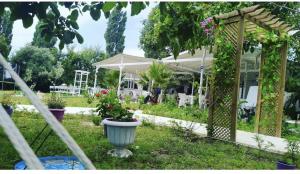 Adasu Otel Marmara Adası